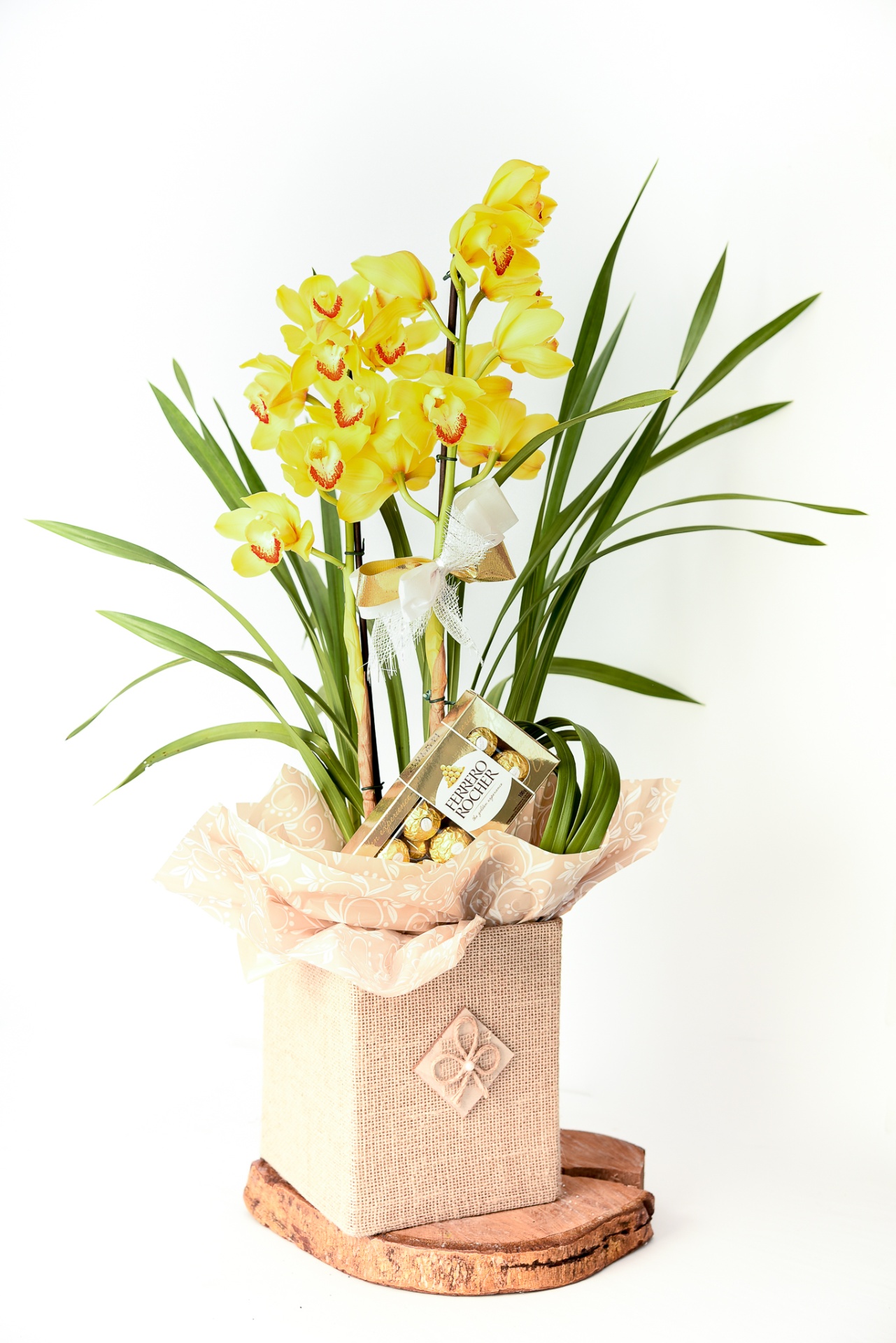 Orquídea Cymbidium & Ferrero