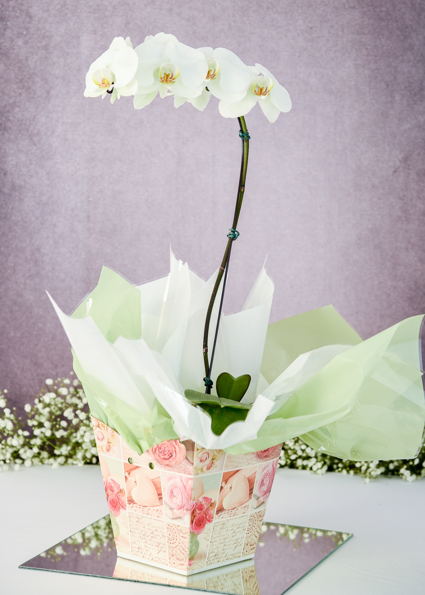 Orquídea Branca Romântica